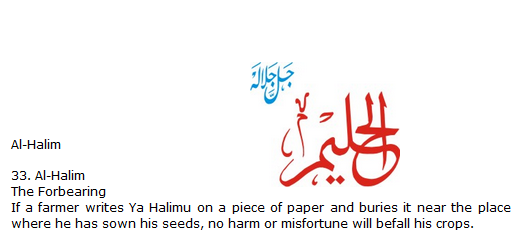 Allah name Al-halim